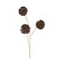 Countryfield Kunstbloem Taraxacum 3x bruin - 8 x 20 x 80 cm