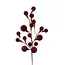Countryfield Tak Miro L rood - 4 x 12 x 60 cm