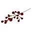 Countryfield Tak Miro L rood - 4 x 12 x 60 cm