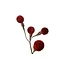 Countryfield Tak Miro L rood - 4 x 12 x 60 cm