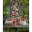 Light en Living Hanglamp Ø30 cm MEDINA glas rainbow+zwart showroommodel