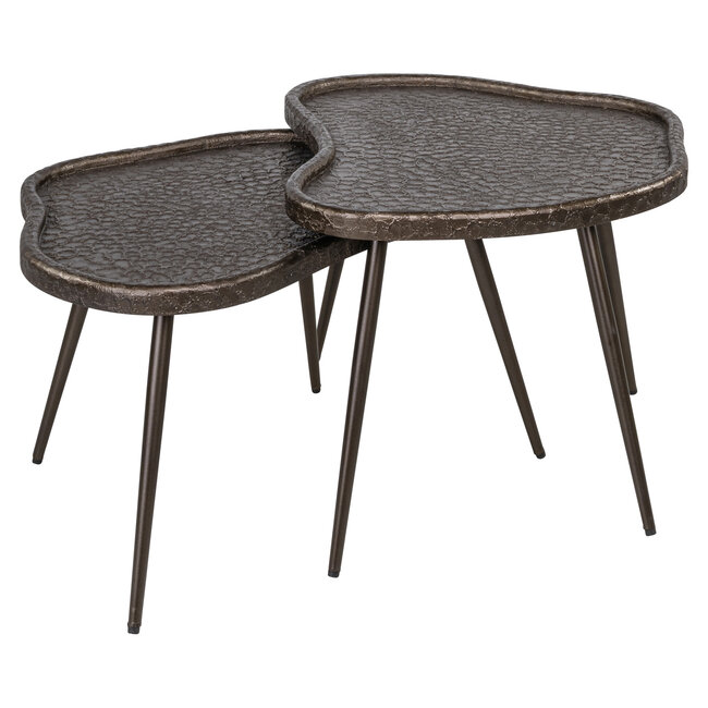 Richmond Interiors  Salontafel Bean Brunzae - Set van 2