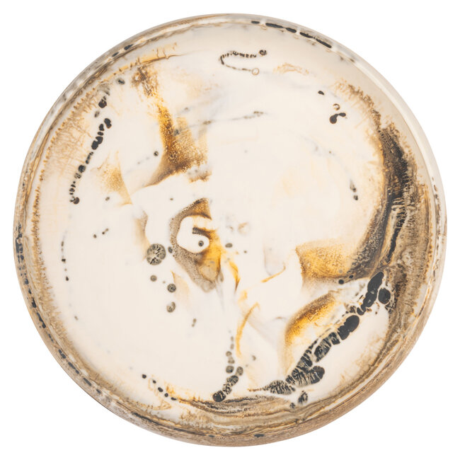 Richmond Interiors  Schaal Daisy beige