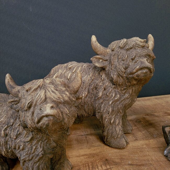 Countryfield Ornament Schotse hooglander Yuki XL bruin - 26,5 x 13 x 24 cm