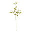 Light en Living Kunstbloem 20x10x100 cm PHYSALIS licht groen