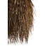 Light en Living Hanglamp Ø54x74 cm ARISCO rotan donker bruin