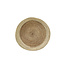 Light en Living Schaal/wandorn Set van 2 Ø40x4,5+Ø50x6 cm BURICA zeegras nat+crème