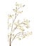 Light en Living Kunstbloem 30x10x118 cm EUCALYPTO crème