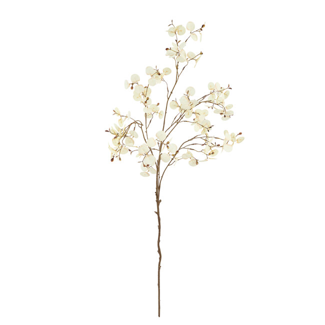 Light en Living Kunstbloem 30x10x118 cm EUCALYPTO crème