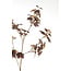 Light en Living Kunstbloem 20x10x110 cm MAPLE bordeaux-donker bruin
