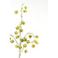 Light en Living Kunstbloem 20x10x100 cm PHYSALIS licht groen