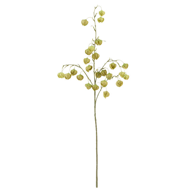 Light en Living Kunstbloem 20x10x100 cm PHYSALIS licht groen