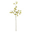 Light en Living Kunstbloem 20x10x100 cm PHYSALIS licht groen