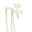 Light en Living Ornament 15x6x25 cm DEER mat crème