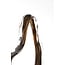 Light en Living Ornament 21x12x50 cm ORGEZA glas donker bruin