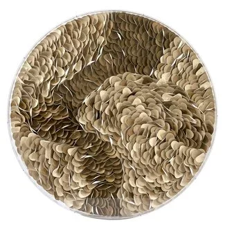 Light en Living Wandornament Ø80x6 cm YAXUNA crème-bruin+helder
