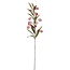 PTMD Kunstbloem Sandersonia Roze