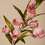 PTMD Kunstbloem Sandersonia Roze
