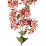 PTMD Kunstbloem Jasmine