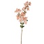 PTMD Kunstbloem Jasmine