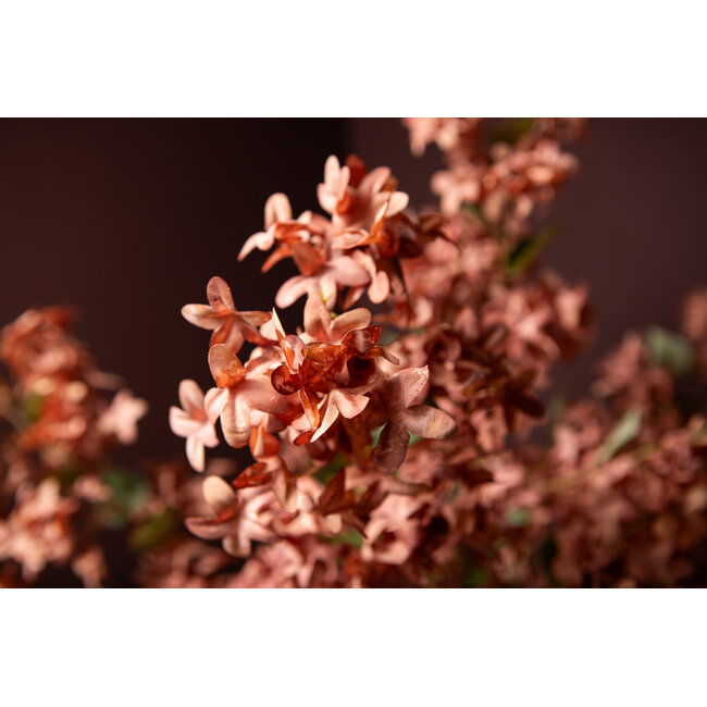 PTMD Kunstbloem Jasmine