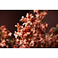 PTMD Kunstbloem Jasmine