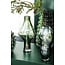 PTMD Vaas Naima Sage glas organisch type B