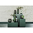 PTMD Vaas Naima Sage glas organisch type A