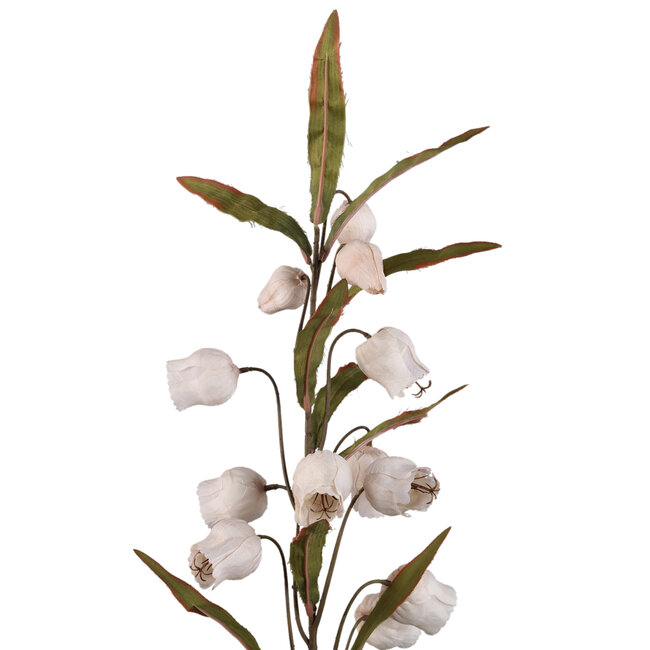PTMD Kunstbloem Sandersonia Creme