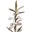 PTMD Kunstbloem Sandersonia Creme