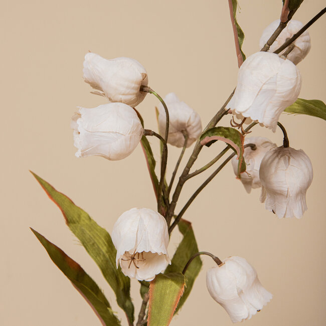 PTMD Kunstbloem Sandersonia Creme