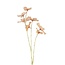 Countryfield Kunstbloem Sparkly Cornus S roze / perzik