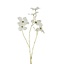 Countryfield Kunstbloem Sparkly Cornus S wit