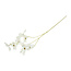Countryfield Kunstbloem Sparkly Cornus S wit