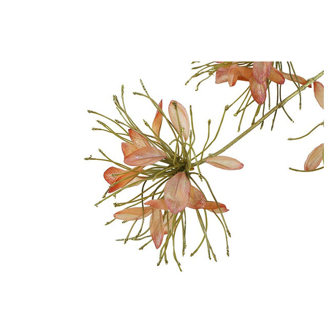 Countryfield Kunstbloem Sparkly Cleome S donkerroze