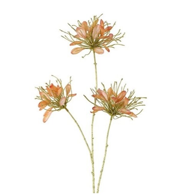Countryfield Kunstbloem Sparkly Cleome S donkerroze