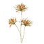Countryfield Kunstbloem Sparkly Cleome S donkerroze