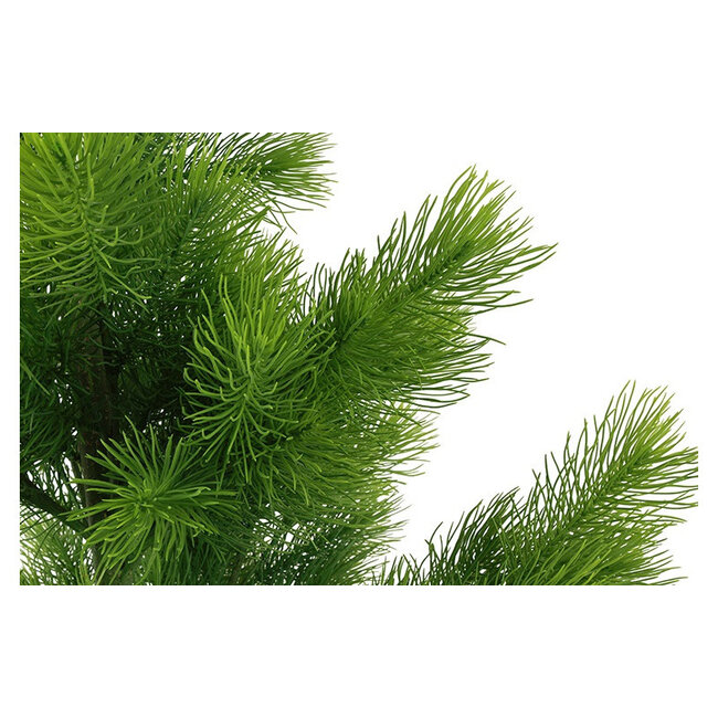 Countryfield Kunstboom Pinus massoniana S groen