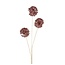 Countryfield Bloem Viburnum roze