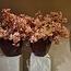 PTMD Kunstbloem Jasmine