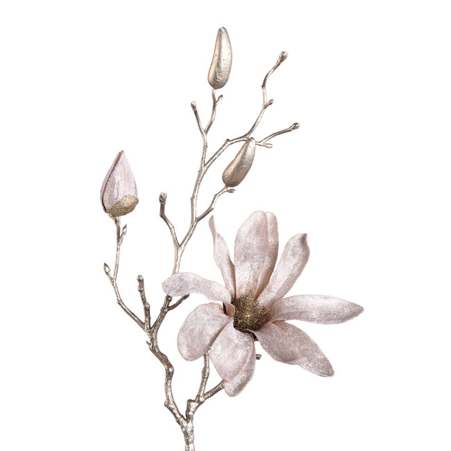 PTMD Kunsttak Magnolia Champagne fluweelachtige tros
