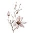 PTMD Kunsttak Magnolia Champagne fluweelachtige tros