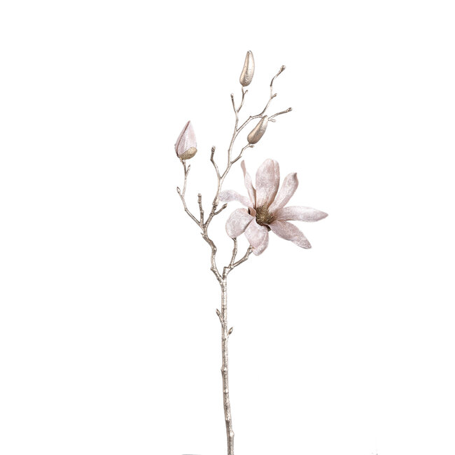 PTMD Kunsttak Magnolia Champagne fluweelachtige tros