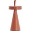 Light en Living Tafellamp LED Ø13x28,5 cm ANKENTA terra