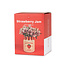 Balvi Mini vaas Strawberry Jam rood
