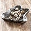 MUST Living Dienblad Coral