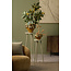 Light en Living Zuil Ø31x80 cm DIMEKA olijf groen