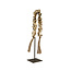 Light en Living Ornament op voet 12,5x12,5x50 cm CURTANI creme-bruin+bruin