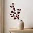 Countryfield Tak Miro L rood - 4 x 12 x 60 cm