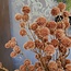 Countryfield Kunsttak Bloem Echinops roze - 4 x 13 x 105 cm